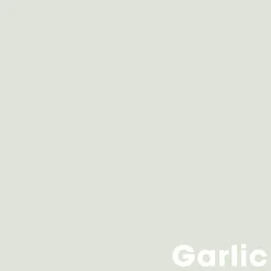 Muurverf Professional Garlic 2.5 L