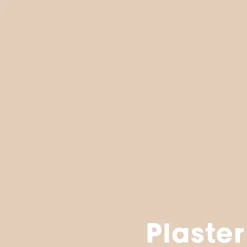 Muurverf Professional Plaster 1 L
