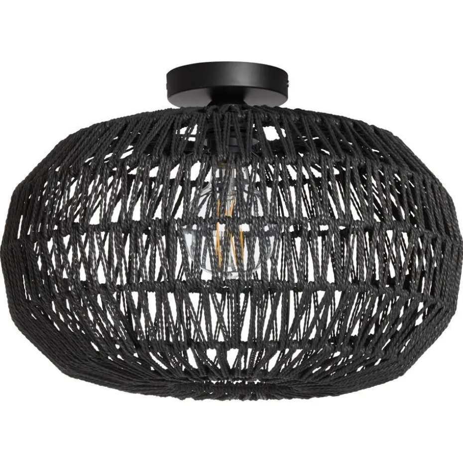 Plafondlamp Zelus