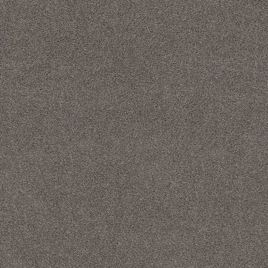 Tapijt Leetsdale Grijs